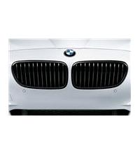 Dinan BMW Performance Black Kidney Grille Set for BMW F10 550