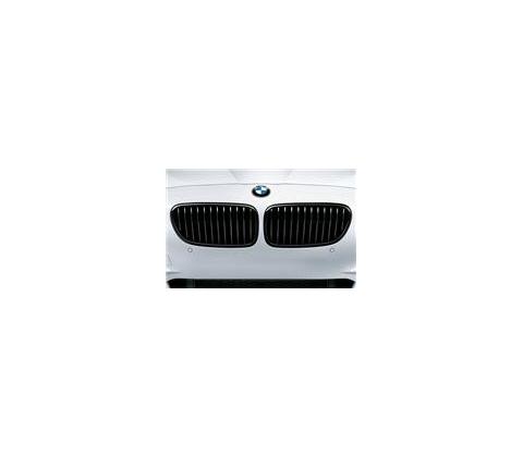 Dinan BMW Performance Black Kidney Grille Set for BMW F10 550