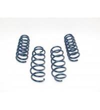 Dinan® Performance Spring set for F01 750